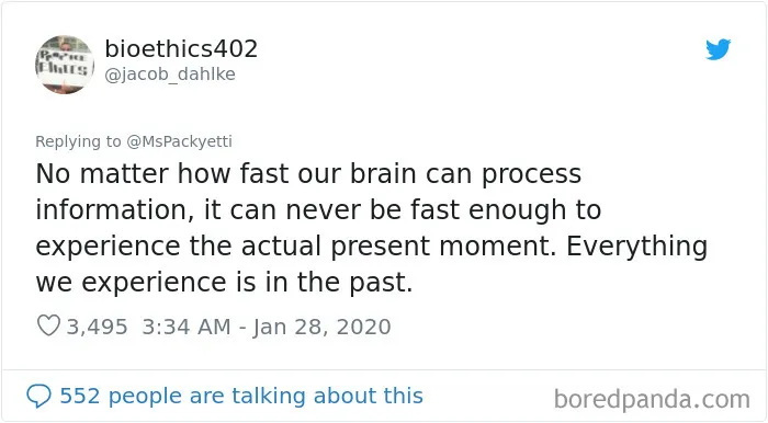 Someone Starts A Twitter Thread On The Most Random Facts And 35 People Deliver