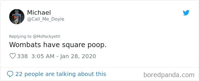 Someone Starts A Twitter Thread On The Most Random Facts And 35 People Deliver