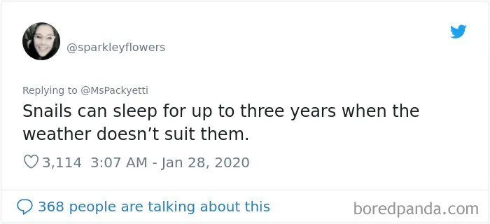 Someone Starts A Twitter Thread On The Most Random Facts And 35 People Deliver