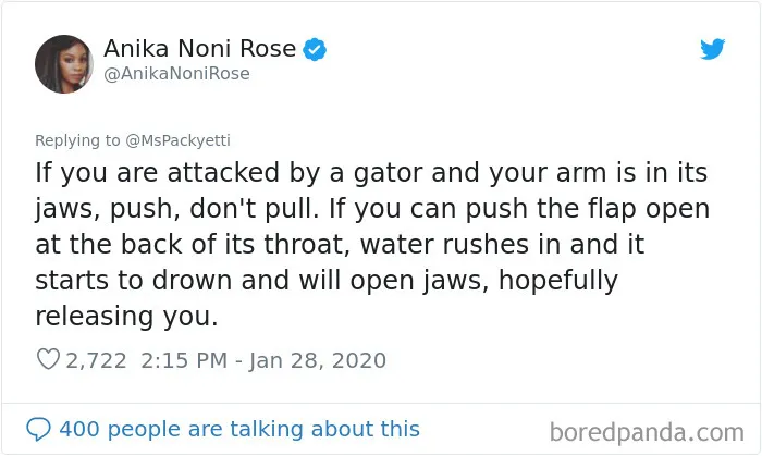 Someone Starts A Twitter Thread On The Most Random Facts And 35 People Deliver