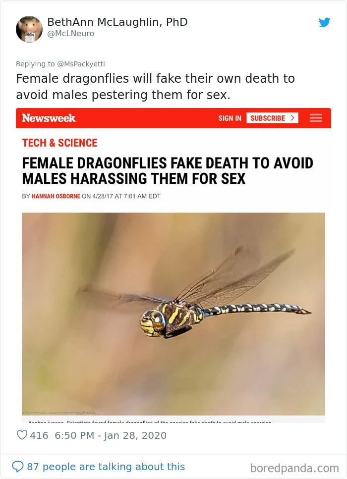 Someone Starts A Twitter Thread On The Most Random Facts And 35 People Deliver