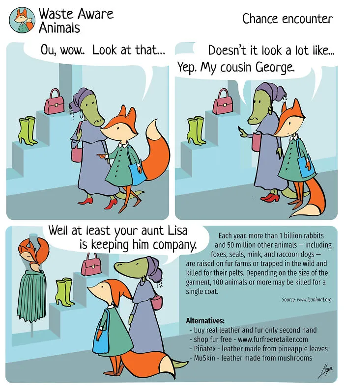 I Dream Of Living A Zero-Waste Life, Here Are The Struggles I Face (31 Comics)