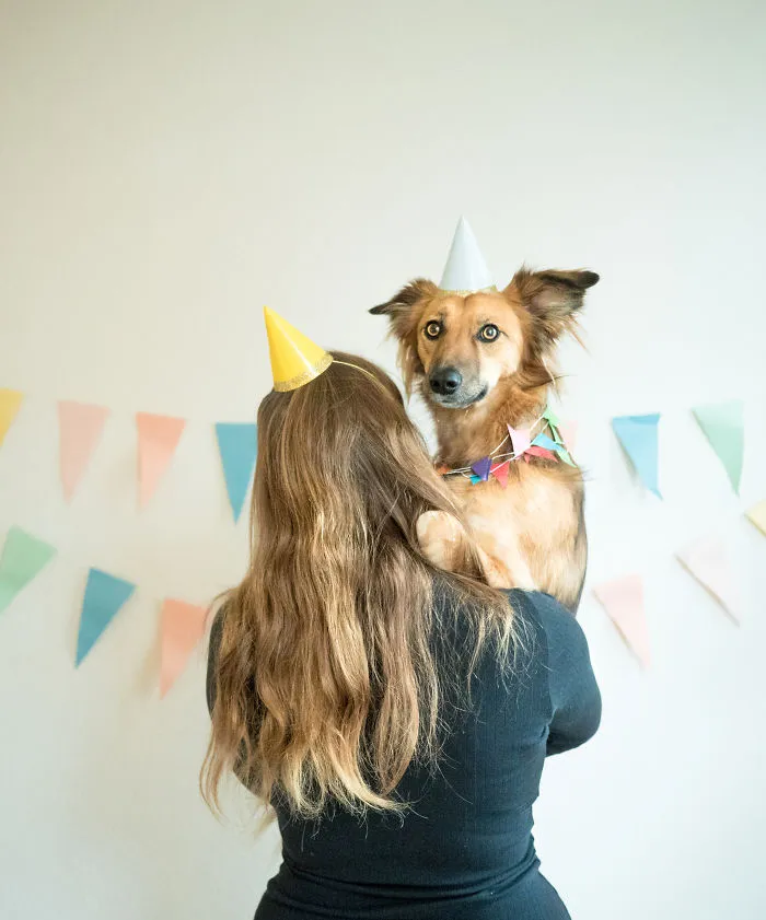 I Adopted Tofu, A Shelter Dog Who Is Often Too Scared To Walk, So I Carry Her Everywhere (30 Pics)