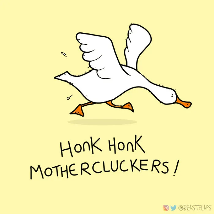 17 Pics Of Funny Grumpy Animals That I Will Continue To Draw Each Day Throughout 2020
