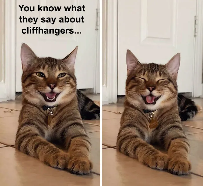 Owner Uploads Photos Of Their Laughing Cat, And It Becomes The New 'Dad Joke' Meme (21 Pics)