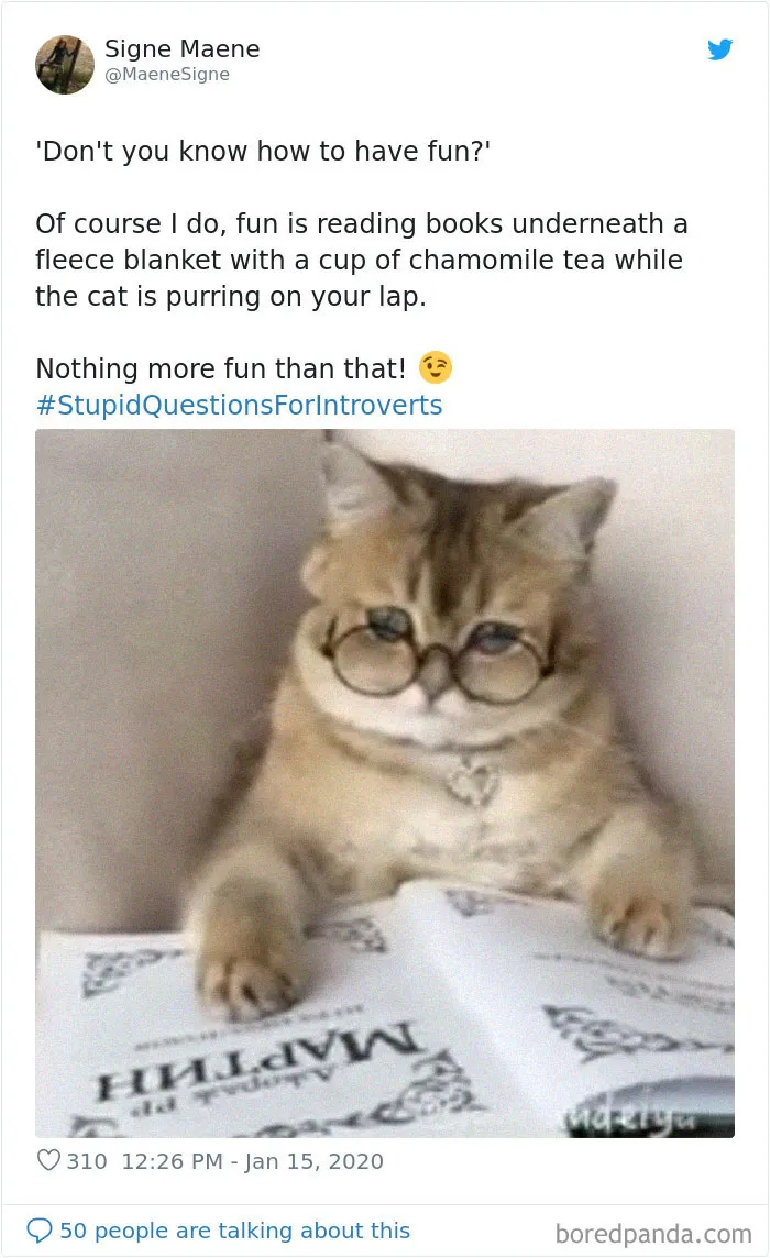 Someone Asks Introverts To Share What Questions Annoy Them The Most, They Respond With 30 Tweets