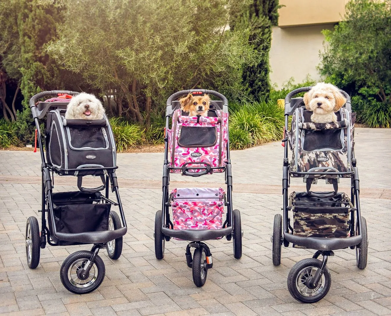 Travel Squad