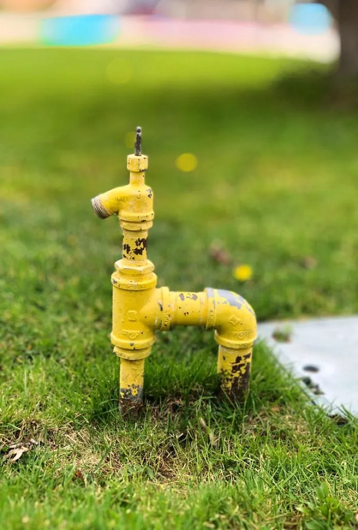 A lama shaped pipe