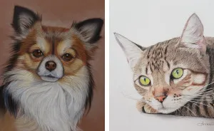 My Realistic Drawings