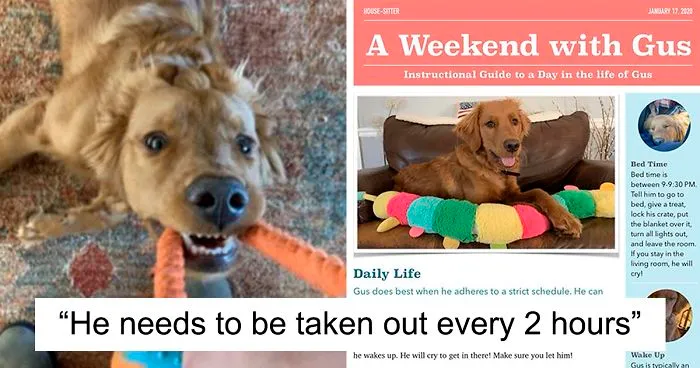Woman Asks Her Sister To Dog-Sit Her Canine Friend, Sends A 2-Page PDF With Instructions On How To Do It Properly