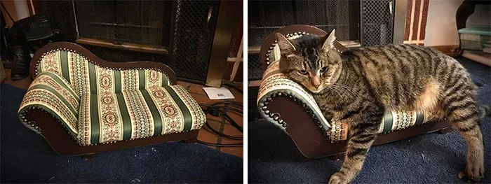 I Found A Chaise Lounge At Good Will For My Cat! She Almost Fits