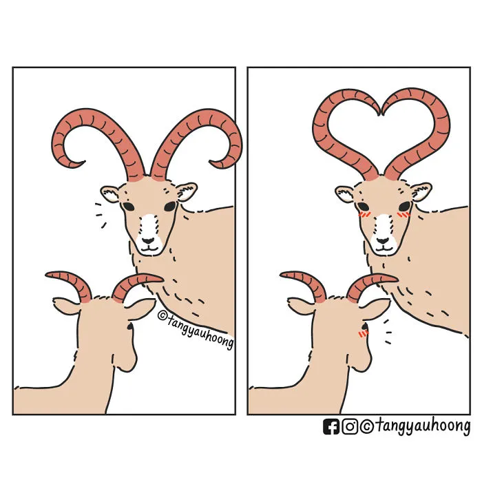 Shape Of Love- Ram