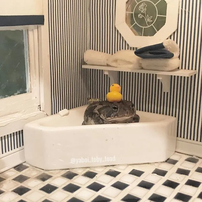 Hora del baño