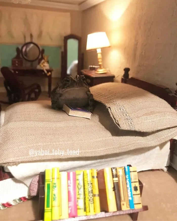 I Am Smort, I Read Books Frens