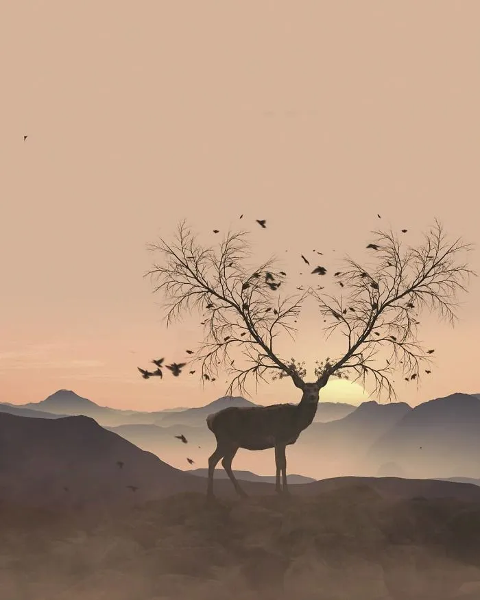 I Turn My Dreams Into Surreal Pictures By Editing Them (61 Pics)