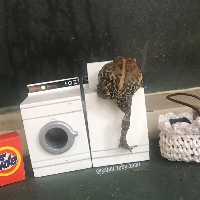 Canna Reech Me Undies
