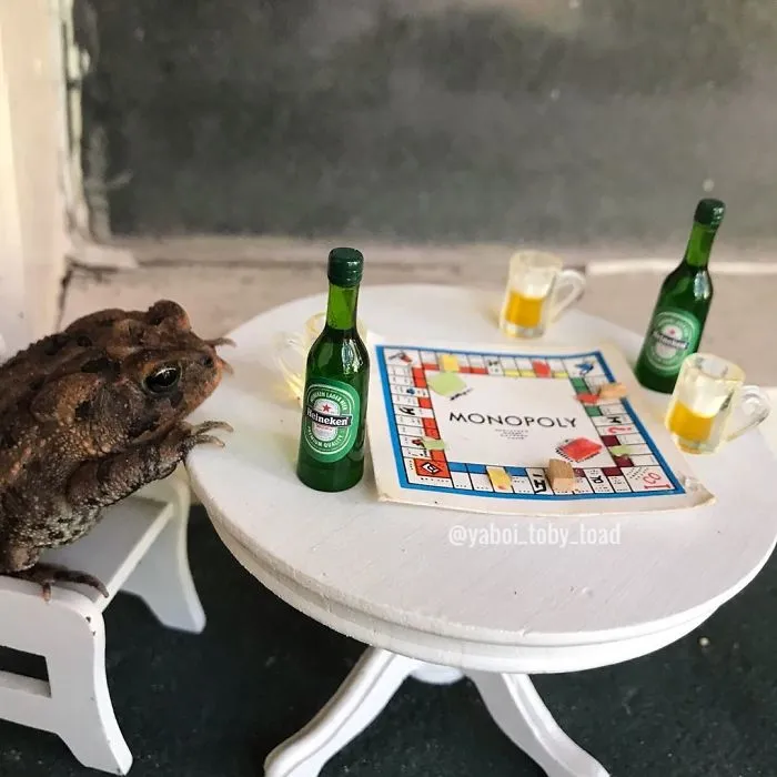 U Guys Wan Come Play?