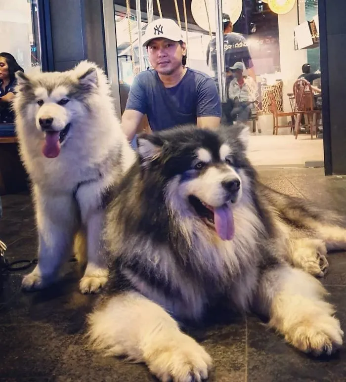 Familia gigante