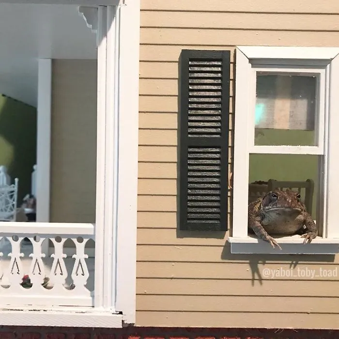 Creo que necesito una casa más grande