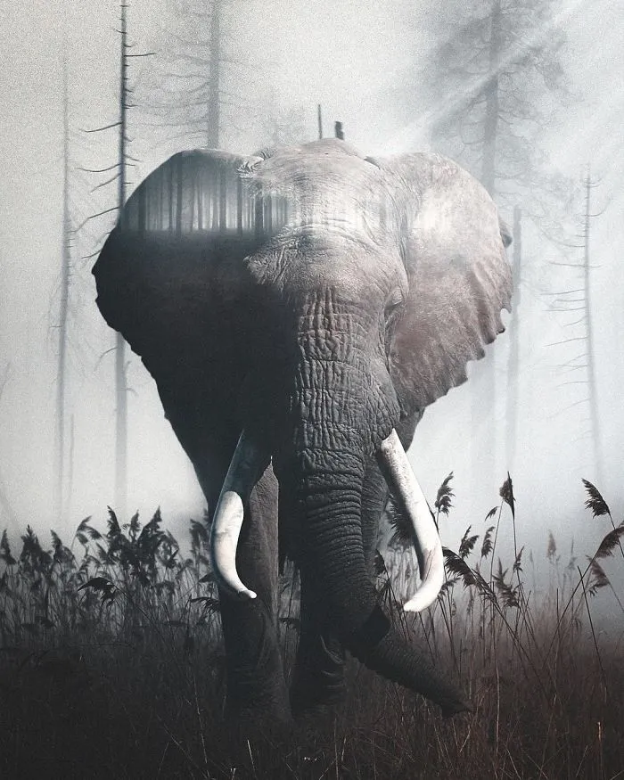 I Turn My Dreams Into Surreal Pictures By Editing Them (61 Pics)