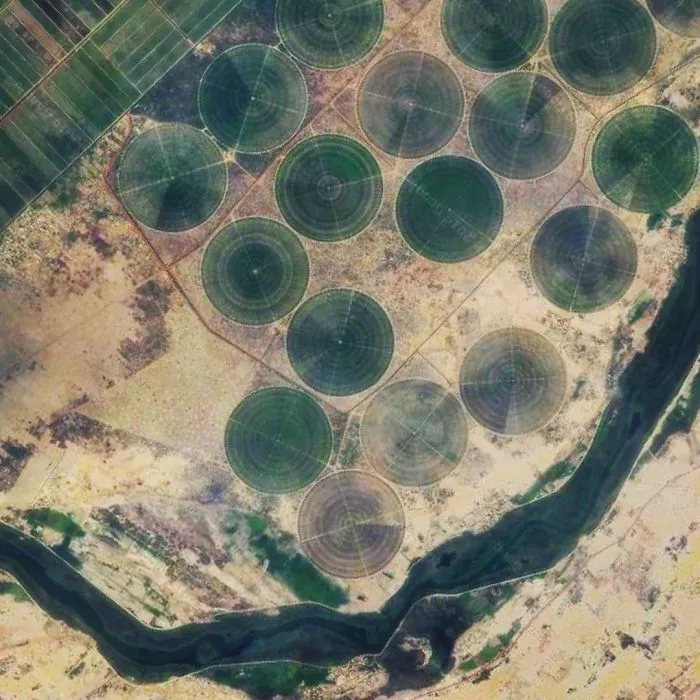 Siribala