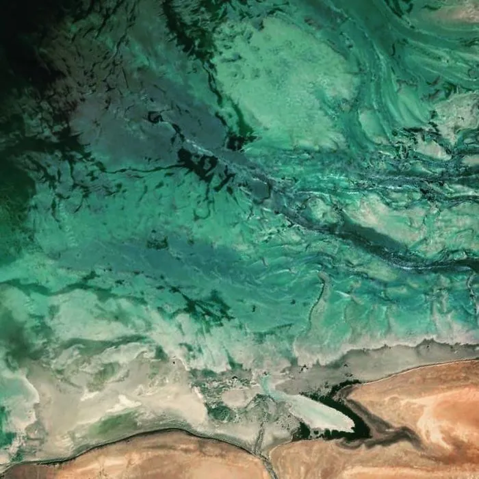 Dahlak Island