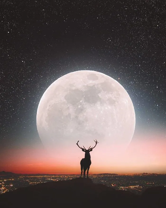 I Turn My Dreams Into Surreal Pictures By Editing Them (61 Pics)