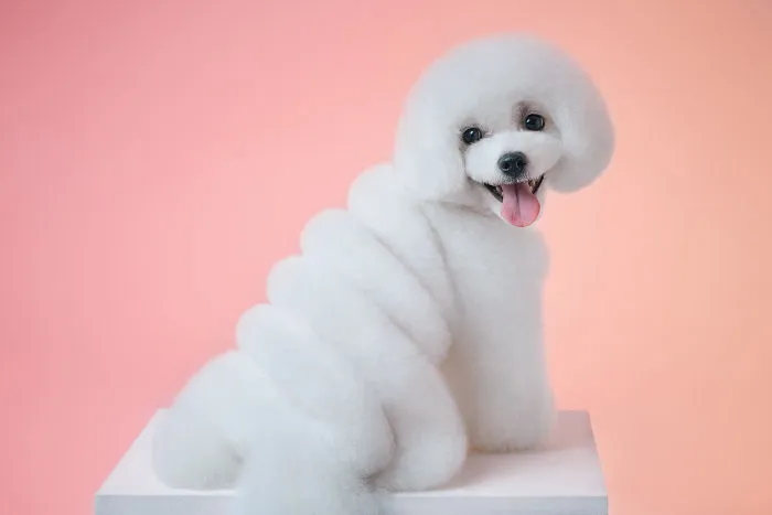 We Explore The Uniqueness Of Different Dog Breeds And Their Beautiful Personalities (17 New Pics)