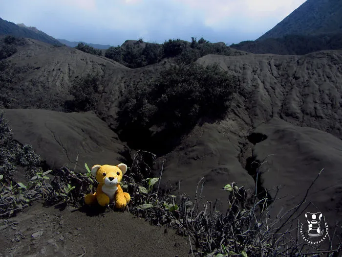 Wading Through The Volcanic Ashes Of Mount Bromo, Java, Indonesia