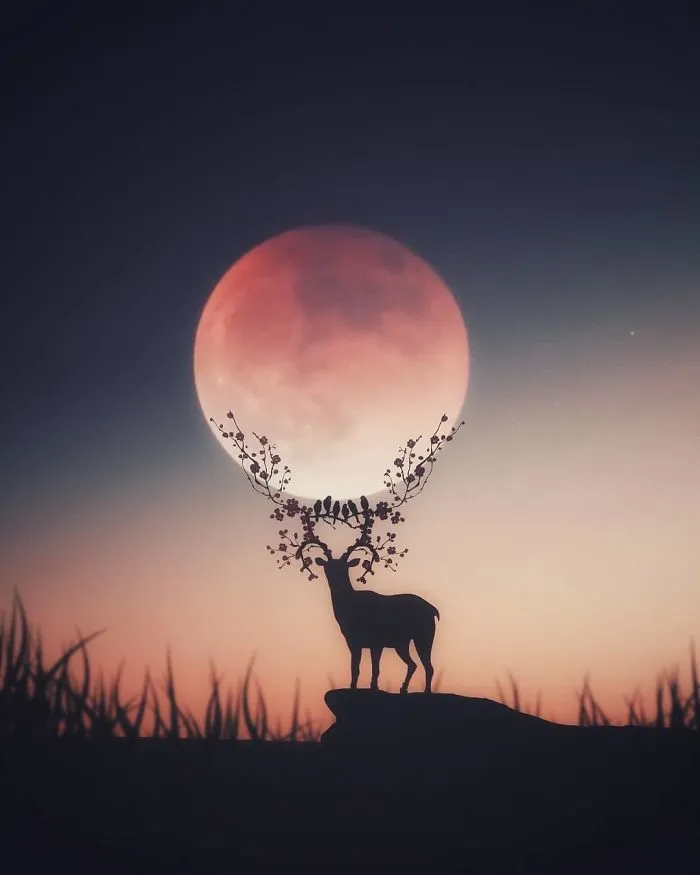 I Turn My Dreams Into Surreal Pictures By Editing Them (61 Pics)