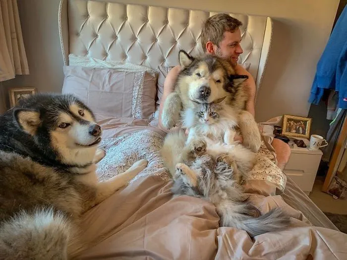 New Game, Did You Spot Milo Instantly Or Have To Do A Double Take?