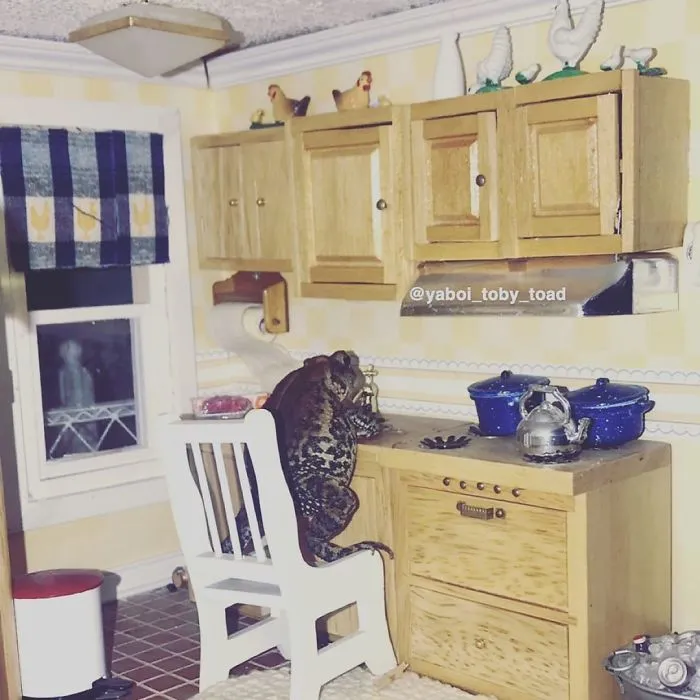 Haciendo sopa