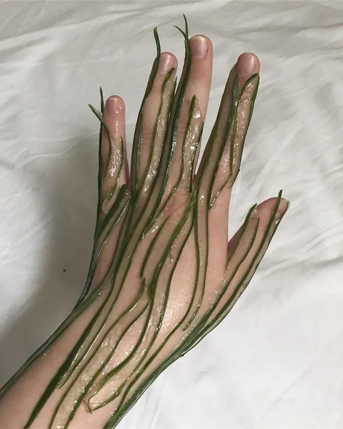 This Russian Artist Dresses Herself And Her Models In Surreal And Weird Costumes Made Out Of Vegetables, Fruits And Plants (74 Pics)