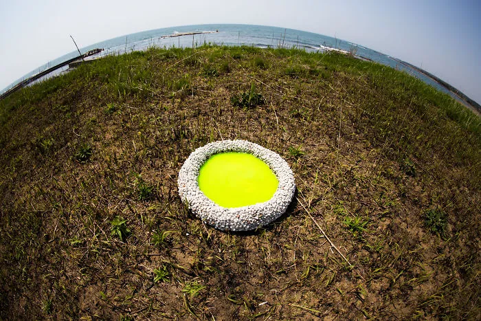 I Create Colors In The Landscape