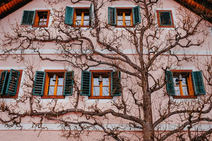 I've Been Dreaming Of Visiting Hallstatt, Austria Ever Since I Saw A Picture Of It, Here Are 30 Pics I Took There
