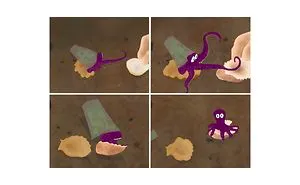 Remember The Baby Octopus That Had A Plastic Cup On Its Back?  I Wrote A Book About It.