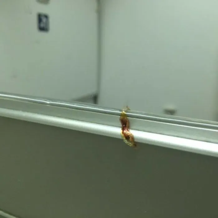 Hotel Airplane Lav Snot