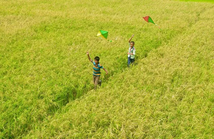 Friendship And Childhood
