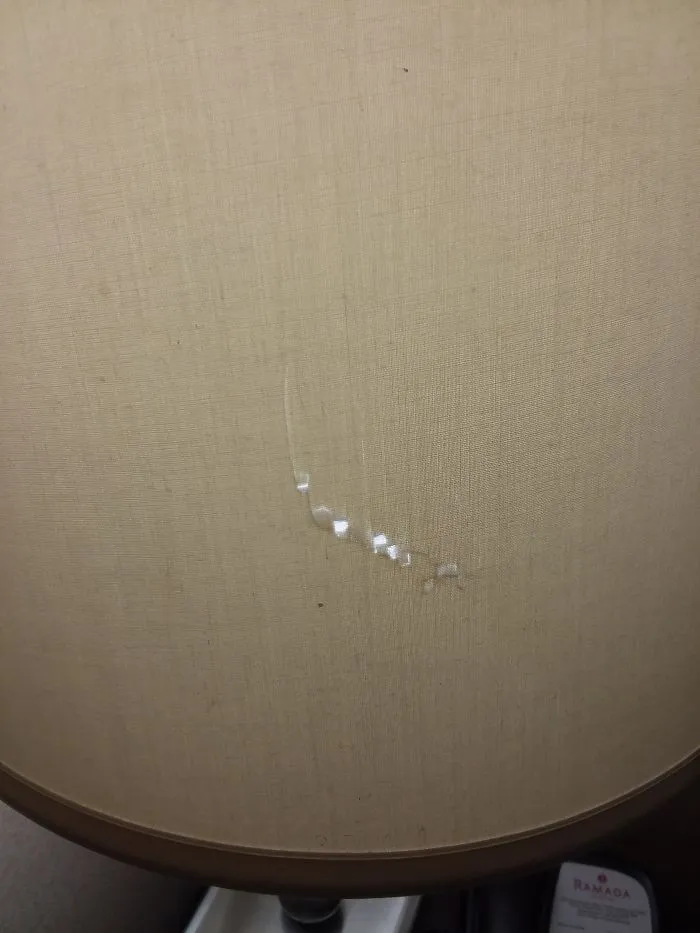 Someone lost so much downstairs that they bit the lampshade