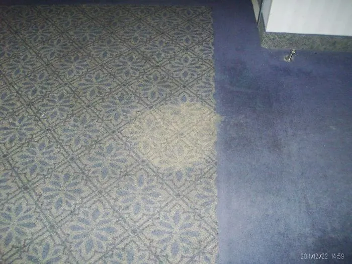 They almost made it from the bar back to their room before vomiting in the hallway