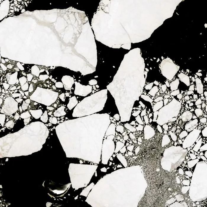 Arctic
