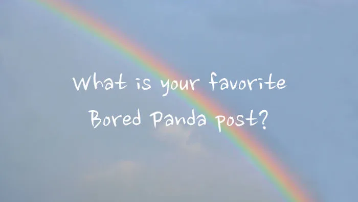 What Is Your Favorite Bored Panda Post?
