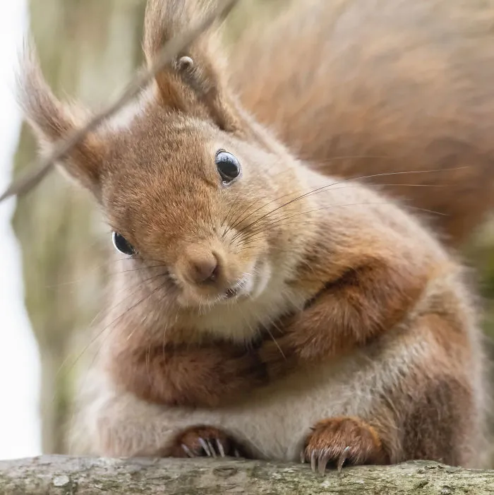 Well, Ain't You Just The Cutest Thing