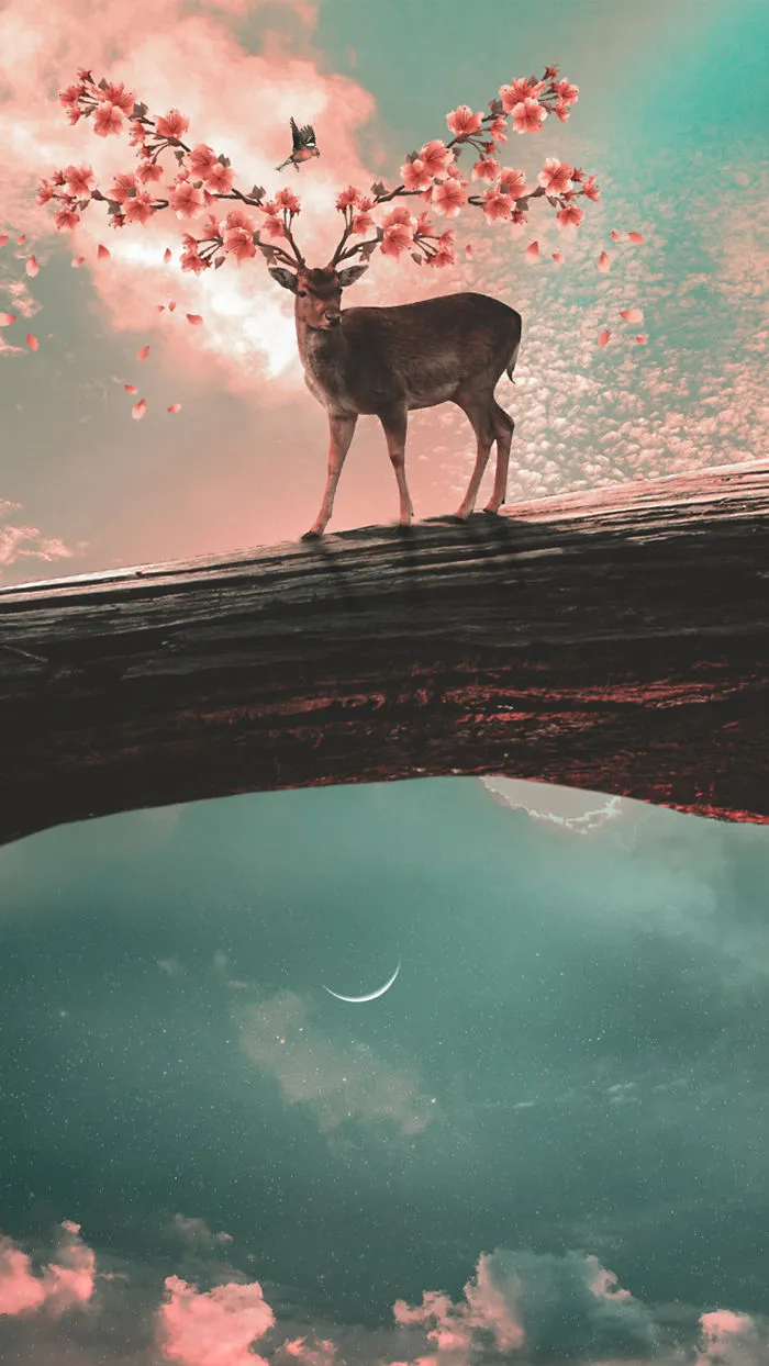 I Turn My Dreams Into Surreal Pictures By Editing Them (61 Pics)
