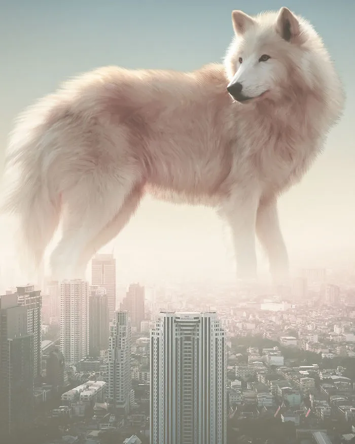 I Turn My Dreams Into Surreal Pictures By Editing Them (61 Pics)