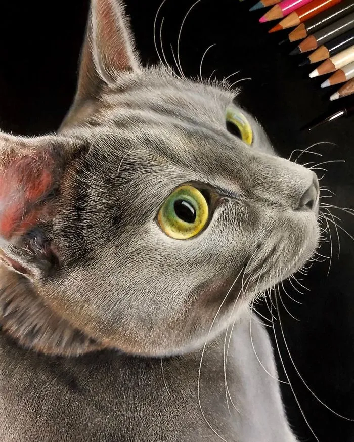 23 Hyper-Realistic Artworks Of Cats That Are Hard To Believe Aren't Photographs By A Japanese Artist