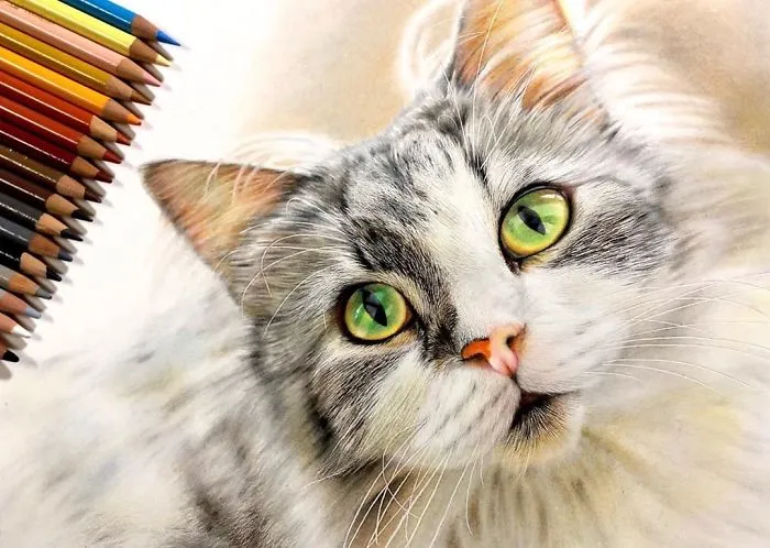 23 Hyper-Realistic Artworks Of Cats That Are Hard To Believe Aren't Photographs By A Japanese Artist