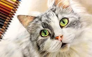 23 Hyper-Realistic Artworks Of Cats That Are Hard To Believe Aren't Photographs By A Japanese Artist