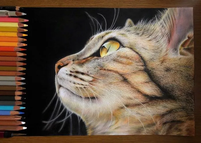 23 Hyper-Realistic Artworks Of Cats That Are Hard To Believe Aren't Photographs By A Japanese Artist
