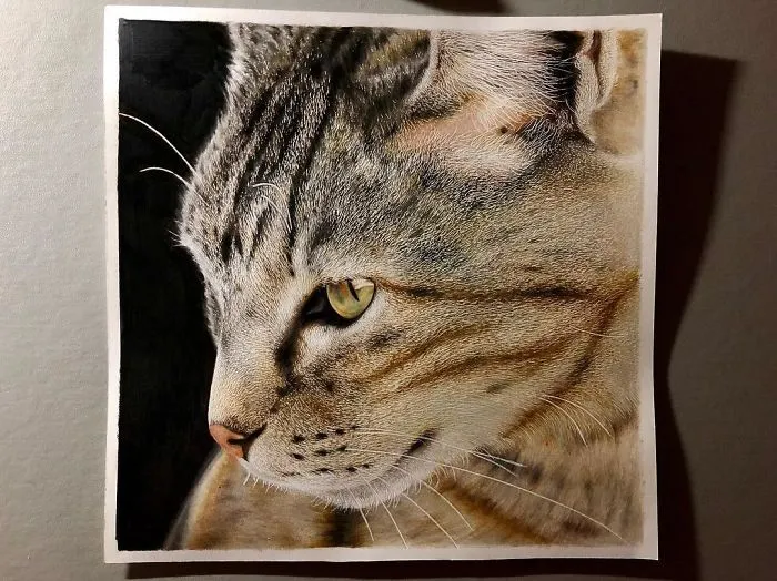 23 Hyper-Realistic Artworks Of Cats That Are Hard To Believe Aren't Photographs By A Japanese Artist